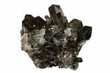 Dark Smoky Quartz Crystal Cluster - Brazil #134944-1